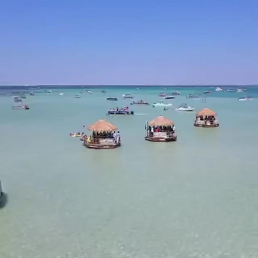 1.1K reactions · 634 shares | Cruisin' Tikis Destin What’s more fun than sitting on a tiki boat cruisin’ the beautiful emerald waters of Destin? CLICK LINK BELOW TO BOOK YOUR CRUISIN’ TIKI! https://destinflorida.com/destin/activities/boat-tours/cruisin-tikis-destin | DestinFlorida.com | Facebook
