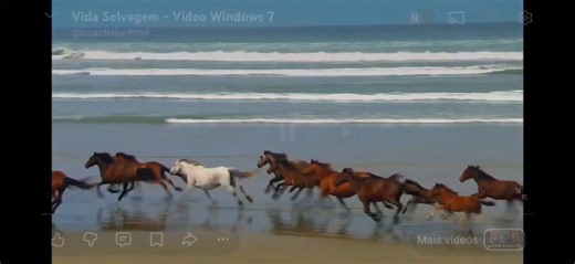 @slipctrl Chocado que eles colocaram a musica dos cavalos do Windows 7