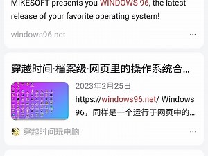 win96 网页版