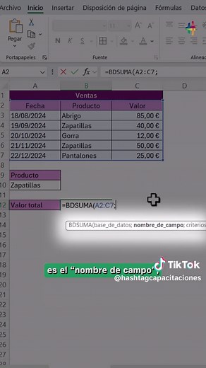 Con la función BDSUMA, sumar valores en Excel es más fácil que nunca 😅 #excel #trucosexcel #exceltips #excelavanzado #hojadecalculo #funcion