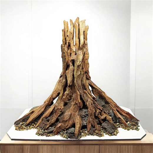 Large Aquarium Driftwood Tree Stump