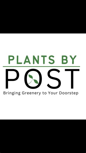 Small trees for small gardens at Plants By Post. Discover the best small trees for small gardens in Plants By Post's comprehensive video guide! Whether you're looking for little garden trees to enhance limited spaces or miniature trees perfect for pots and tubs, we've got you covered. In this video, we'll introduce you to the top garden trees for small gardens, including beautiful options suitable as small container trees. Find out which miniature trees thrive best in pots and tubs, and learn pr