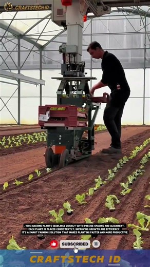 Smart Seedling Transplanter Machine for Planting and Arranging Crops in Modern Farming Conditions