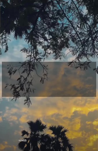 -🦋🤍🫶🏻 #sinhalasong #beautifulsong #love