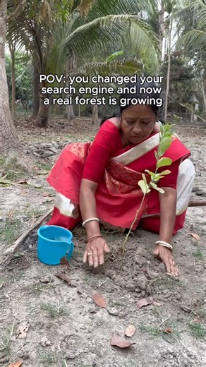 This is your sign to switch to Ecosia ✨🌳
