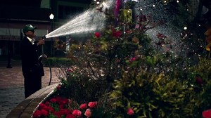 Tooth Fairy 2 (2012) Larry the Cable Guy Welcome to the movies and television