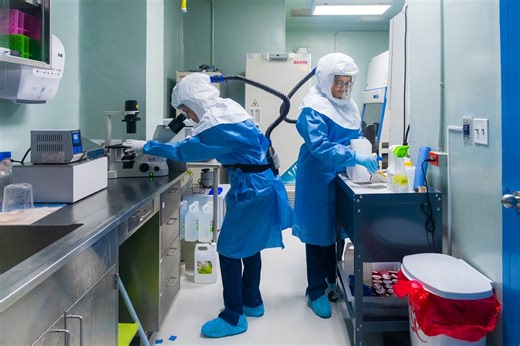 PAHO annual report 2024