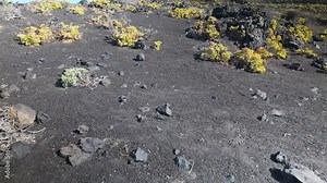 Lunar landscape of land and volcanic rocks with volcanoes in the background on the island of La Palma, Canary Islands.