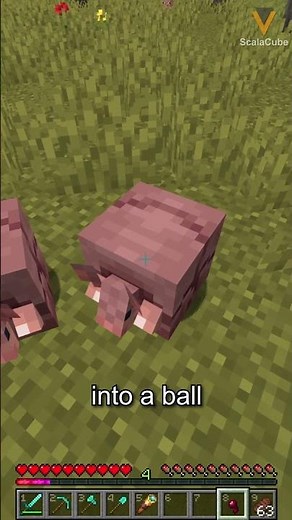 What Do Armadillos Eat in Minecraft | Minecraft Server Hosting