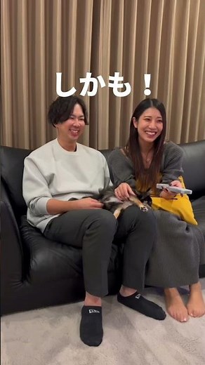 光回線テレビ＿アンテナ不要編