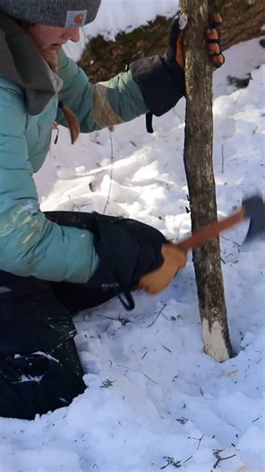 Linnea & Akela on TikTok