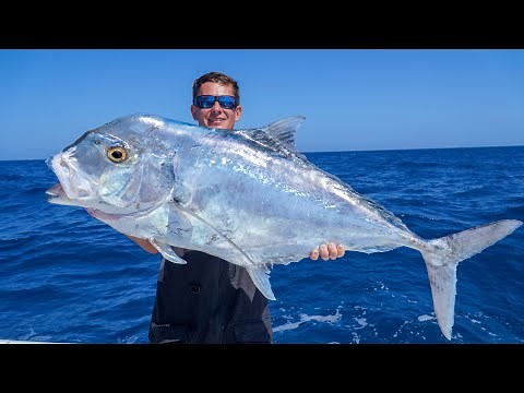 GIANT African Pompano! Catch Clean Cook (Slow Pitch Jigging)