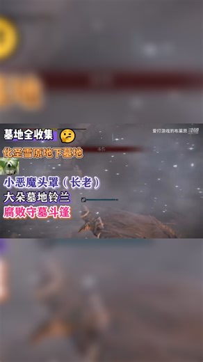 艾尔登法环【化圣雪原地下墓地】全收集：小恶魔头罩+大朵墓地铃兰+腐败守墓斗篷
