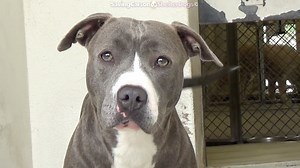 38K views · 4.9K reactions | RESCUED - moved to SAFE Album on 04/03...