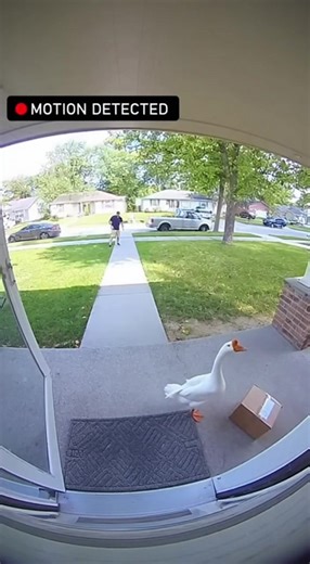 Who Was the Security Guard That Scared Off the Delivery Guy? (Twist Ahead!) | Sosohan