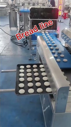 fully automated bread processing production line