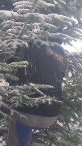 This father was trimming a Christmas tree when he accidentally fell off. After he clung to the tree, he tried slashing it from the middle when he lost his balance and fell into the snow below along with the treetop. Fortunately, he didn't get injured. | Jukin Copyright Management | Facebook