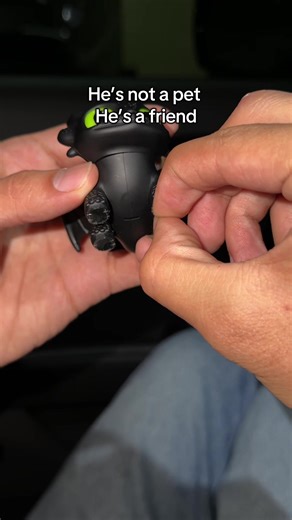 Toothless: The Perfect Valentine's Day Gift Idea