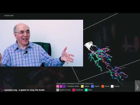 Curt Jaimungal - Stephen Wolfram's Radical Theory of Everything