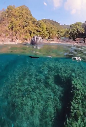 Is swimming in the open water without any life-vest one of your personal goal? 💫 Meet Richard who have triumphantly finished both our pool and open water survival swim trainings last weekend. Congratulations, we are proud of you! 🎉👏🏽 Our Open Water Graduation Training is open for all Swimtravel Alumni who have successfully completed their survival program with us in the pool. Practice and test your newly acquired survival swimming skills that you have previously learned from our Beginner Sur