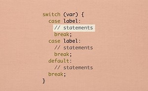 Switch Case