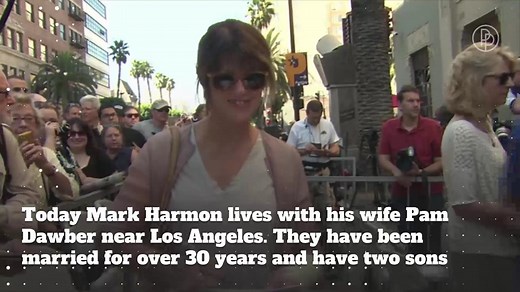 'NCIS' Actor Mark Harmon: Private Facts About The Star