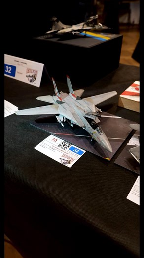 Tomcat is ready! #modelaircraft #aviation #scalemodel #aircraftmodel #modelbuilder #tomcat