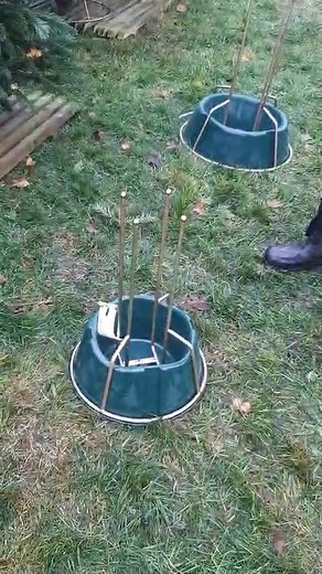 Lots of messsges about our brilliant ‘quick stand’ tree stand. So here’s a little demo, ( excuse the state of me, and not sure what was going on with my hat 🤣🙈) Any questions, please ask 🎄🎄🎄 | Hayward's Plant Nurseries