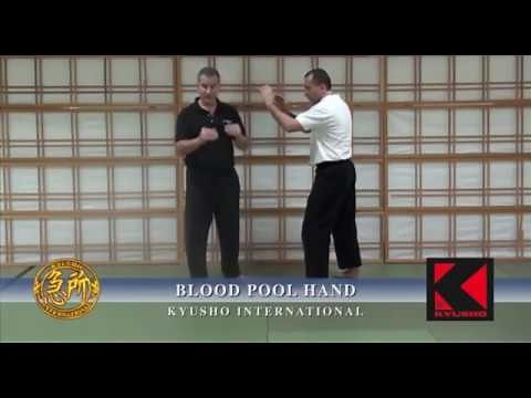 Kyusho Sanchin Kata Vol.1