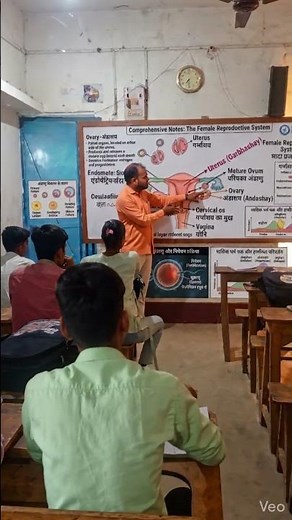 Female reproductive system ‪@e1pathshala‬ #biology #femalreproductivesystem Ai video