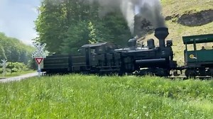19K views · 1.2K reactions |  Sound on! Today’s Bald Knob train passes through the Back Mountain Road grade crossing. Planning to join us this summer? Reserve your seat today at www.casstrain.com | Cass Scenic Railroad | Facebook