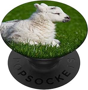 Cute Lamb Popsocket