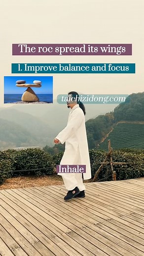 48K views · 2.4K reactions | Exercise tai chi daily fully remove root causes and Improve symptoms. Follow for more useful and healthy tai chi practices. #chineseculture #teaching #trendingreels #taichi #practice #healthy #Gym #exercise #reels #reelsfb #foryou #foryoupage | Tai Chi for Rehabilitation | Facebook