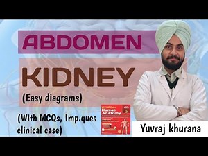 Kidney| Anatomy | Easy Explanation | Easy Diagrams| Abdomen | Medico Paji