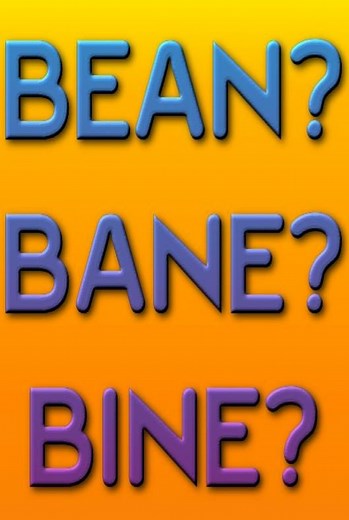 How To Pronounce "Biehn" | The Biehn Blog