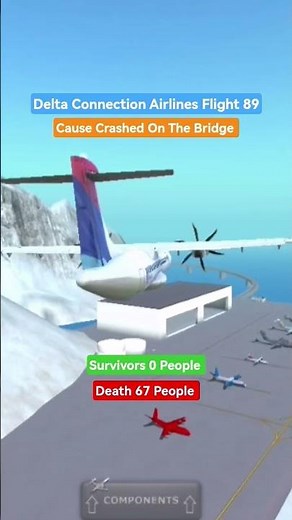 Delta Connection Airlines Flight 89