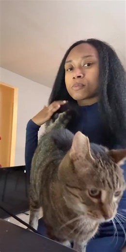 #livehighlights #tiktoklive vibe coding a calendar.