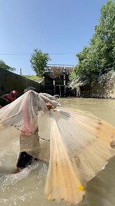 154K views · 750 reactions | The little boy smartly through castnet in river #CastNetFishing #fblifestyle #fishing #Amazing #fishinglife #bigfish #rells #castnet | BD fishing world | Facebook