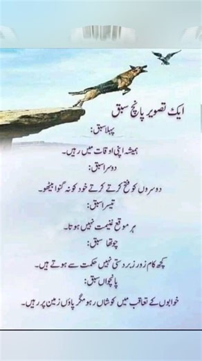 One picture five lessons ✨ Golden Words in urdu✨ Amazing urdu quotes ✨ Quotes in urdu ✨ Life lesson . . . | Quotes about life | Gulbahar Asif •𝙏𝙤𝙥𝙞𝙘𝙨 𝘾𝙤𝙫𝙚𝙧 𝙄𝙣 𝙏𝙝𝙞𝙨 𝙑𝙞𝙙𝙚𝙤:- Mind-blowing psychology facts in urdu gulbahar quotes, ,Psychology facts in urdu, psychology quotes in urdu, Quotes in urdu about Life, Quotes about Life ,psychology psychology of human behavior,Interesting Psychological Facts,psychology facts about life,psychology facts about human behavior, best urdu qu