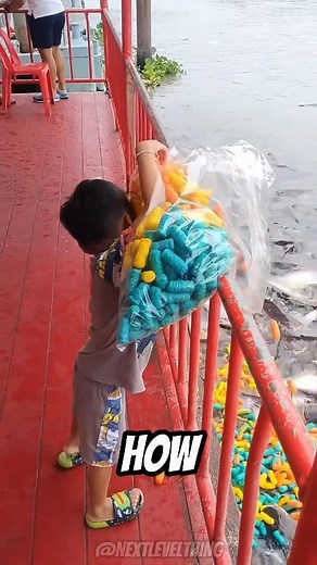 1.3K views | Boy Wastes All His Dad’s Fishing Bait Note: This is for...
