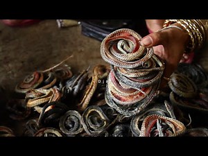 Snake Industries in Cirebon