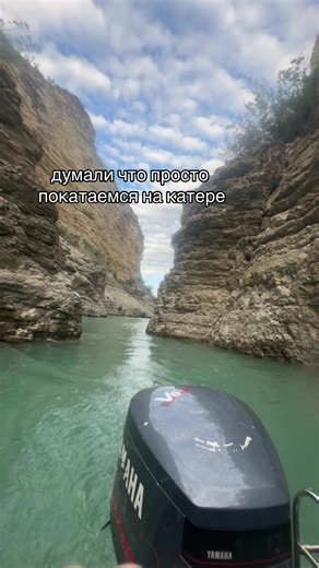 darialitvinchik20 on TikTok