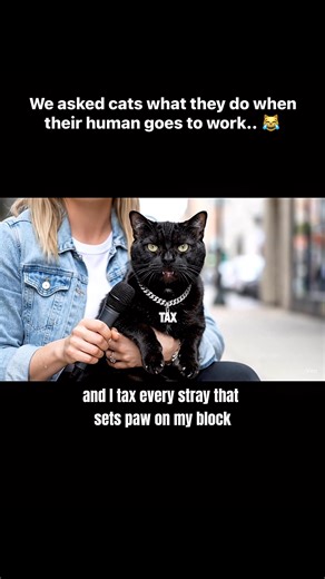 Ever wonder what your cat’s up to while you’re at work? 😹 Some keep it chill — others are out here running the block like it’s their turf. 💬 Comment what YOUR cat does when you’re gone, and make sure to follow for more pet interviews! 🐾 | Lex Scoop
