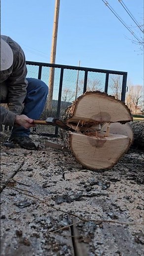 What to do with 5,000 lbs. of pecan logs? #wood #tools #carving #woodworking #bowmaking #bushcraft