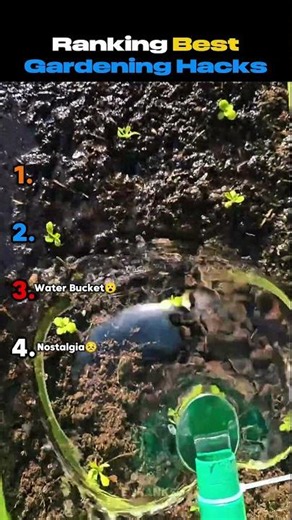 Ranking Best Gardening Hacks😲