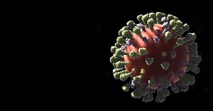 Mini lung "organoids" join the fight against disease