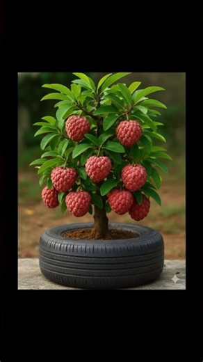 Custard Apple Tree Growing Fast Use Aloe Vera #shorts #short