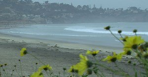 San Diego Water Quality Databases Track Pollution In Inland Watersheds