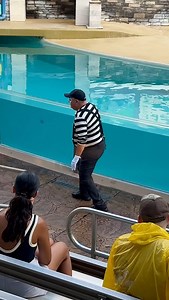 Hilarious Tom the mime antics #seaworldmime #funny #tomthemime #shorts #comedyvideo #seaworldorlando #seaworld #mime | Eryka Travel