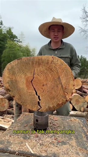 Alat Manual vs Mesin Pembelah Kayu